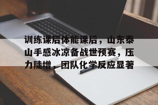 爱游戏官方入口-训练课后体能课后，山东泰山手感冰凉备战世预赛，压力陡增，团队化学反应显著的简单介绍
